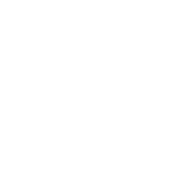 X100 & X101